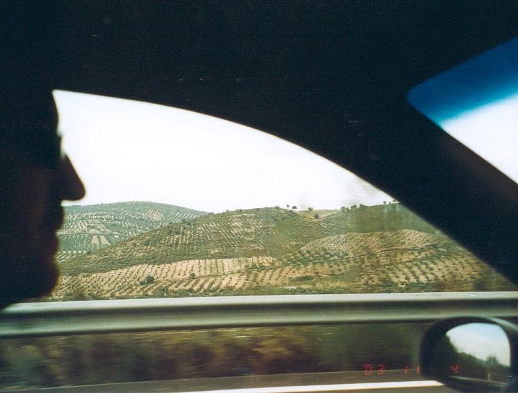 thats paulsie's heid - not olives