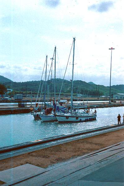 only US$500 per wee boat!