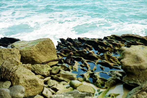 anyone for clubbing?