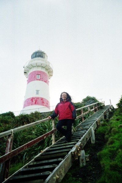 Cape Palliser